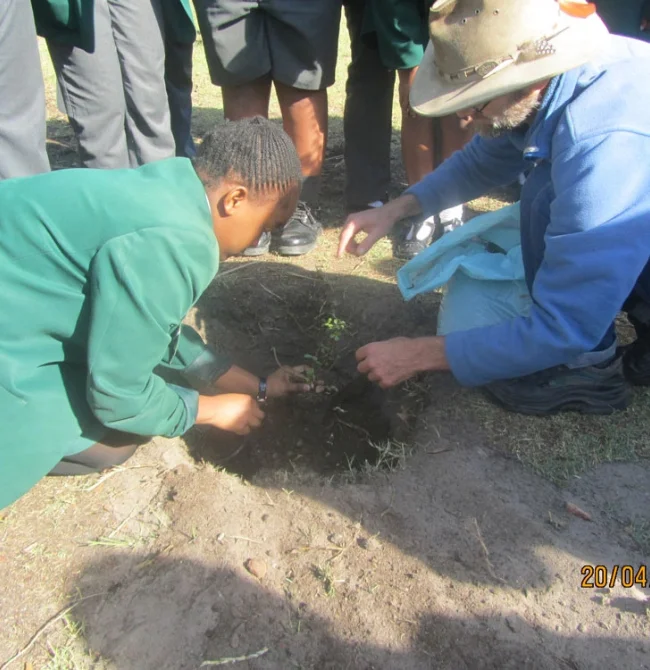 Close-up of a student’s hands and a mentor’s hands positioning a plant in a garden hole.